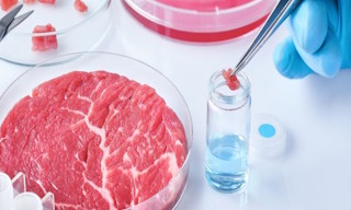Лабораторный анализ пищевых продуктов по СанПиН в Новотроицке в октябре