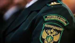 Подготовка к проверке Росприроднадзора в Новотроицке от ПромМир, стоимость услуги от 20936 руб.